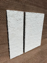 Load image into Gallery viewer, Palm Springs Edition n1

